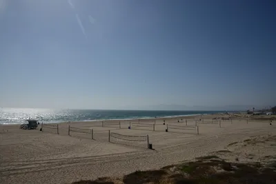 DSC_9655 (Large).JPG